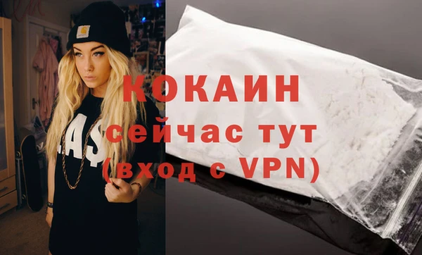амф Липки