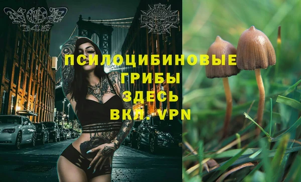 MESCALINE Зерноград