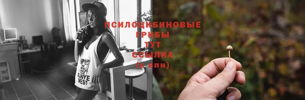 амф Липки