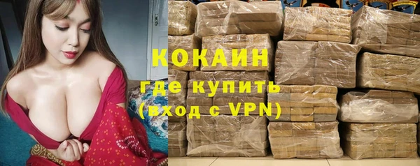 амф Липки