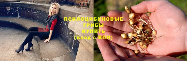 амф Липки