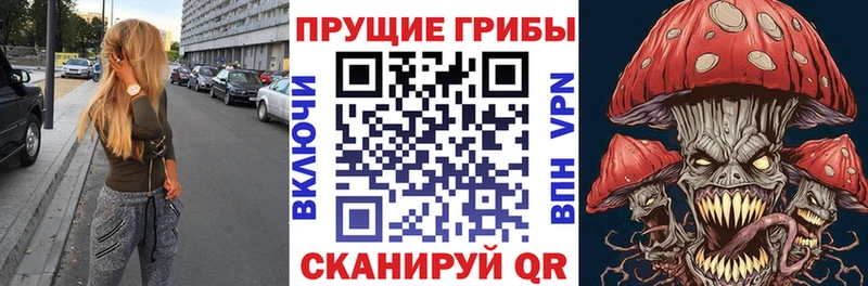 Галлюциногенные грибы GOLDEN TEACHER Голицыно