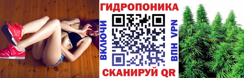 Бошки марихуана OG Kush  Голицыно 
